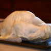 turkey-cheesecloth
